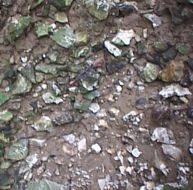 photo of 'head' - flints in clay matrix