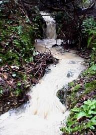 photo of stream in flood