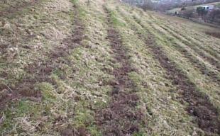 photo of terraced slope