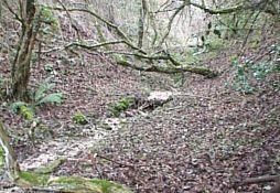 photo of stream in open valley