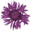 photo of knapweed flower